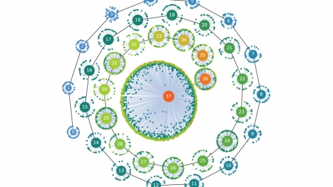 Algorithmic evolution of a defect structure in a superconducting material