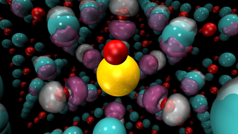 Diffusion Monte Carlo spin density