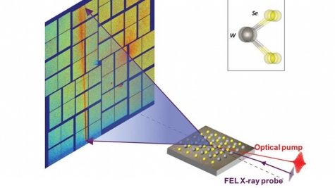 Intense Light Pulses Bounce on a Crystalline Bed without Rumpling the Atomic Blanket