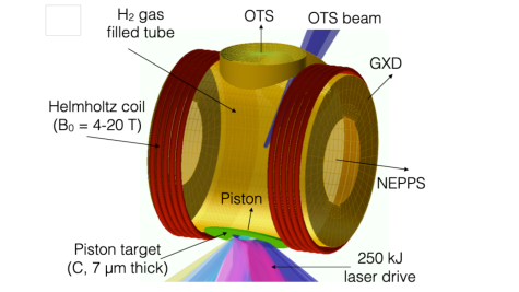 Fiuza ALCC Graphic