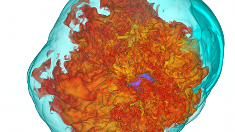 Magnetohydrodynamic turbulence powered by neutrino driven convection