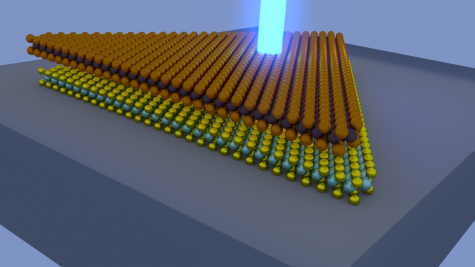 Photo-excitation dynamics