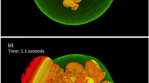 Four snapshots during a simulation of the explosion phase of the deflagration-to-detonation (DDT) model of nuclear-powered (Type Ia) supernovae.