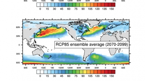 The ensemble mean of mid-latitude storm track density