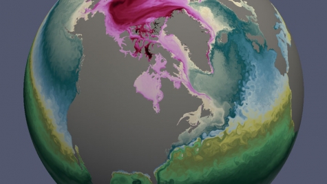 Sea surface temperature and ice volume