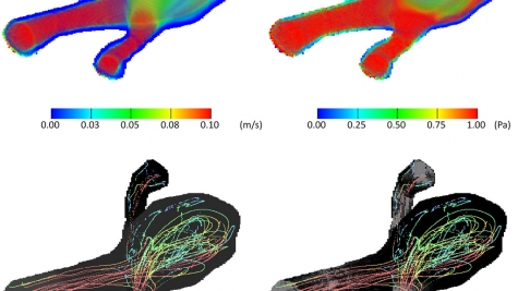 Large-Scale Condensed Matter and Fluid Dynamics Simulations 