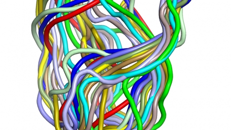 3D structure of adenine riboswitch RNA