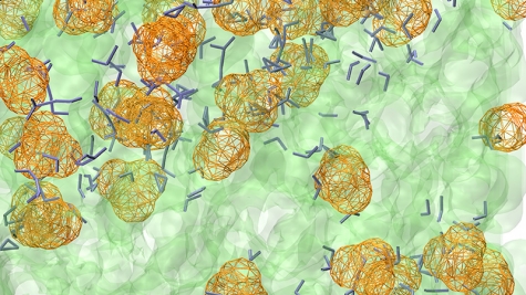 Influence of Morphology on Proton Transport in Proton Exchange Membranes (PI: Gregory Voth, University of Chicago)