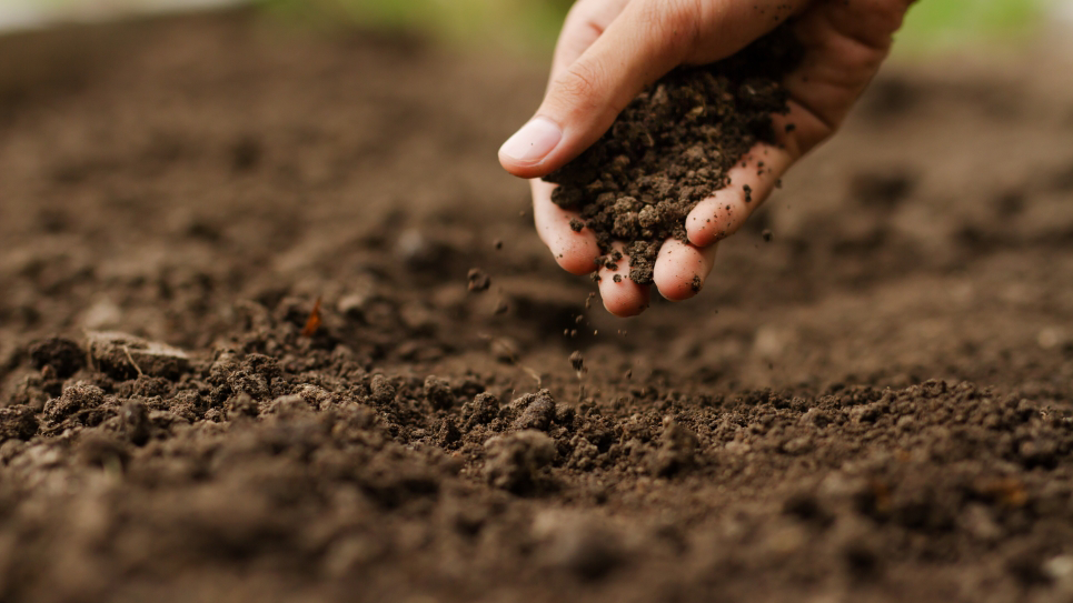 Shutterstock Soil Graphic