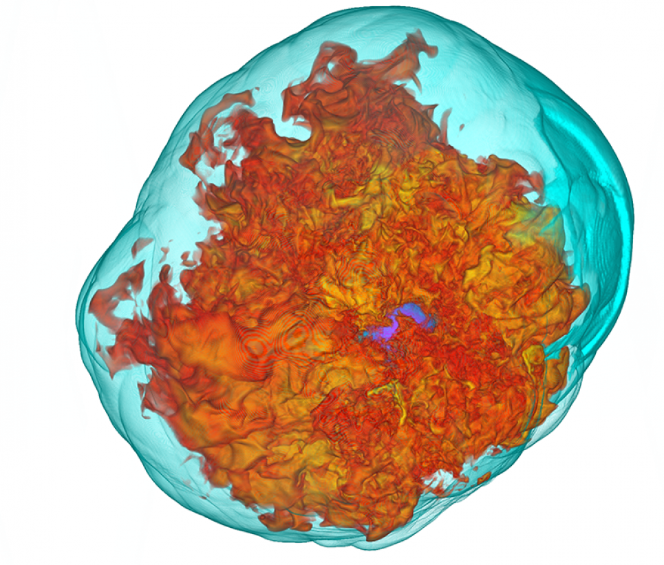 Magnetohydrodynamic turbulence powered by neutrino driven convection