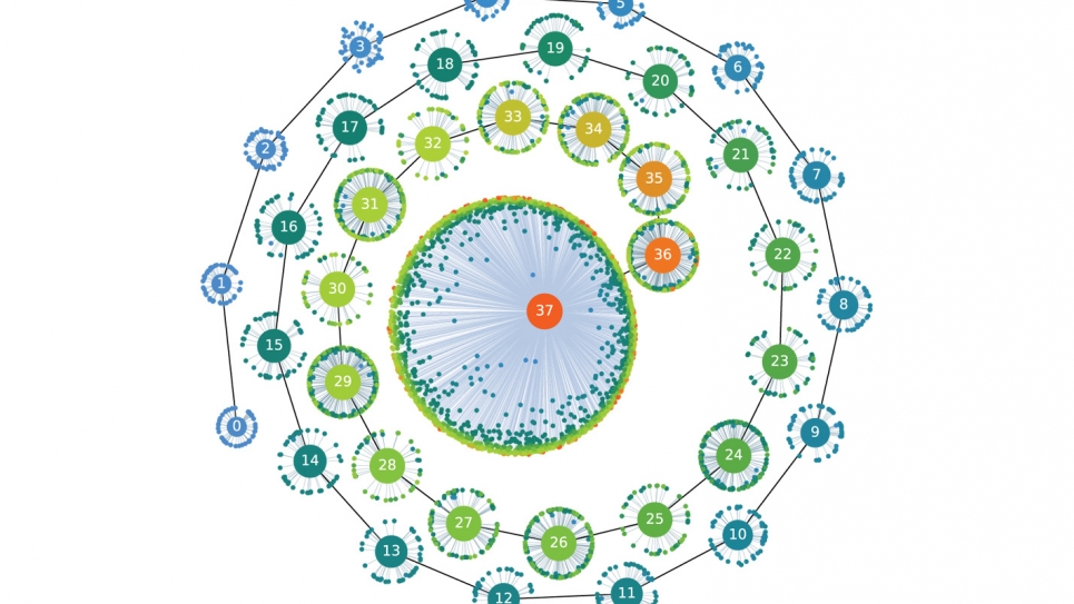 Algorithmic evolution of a defect structure in a superconducting material