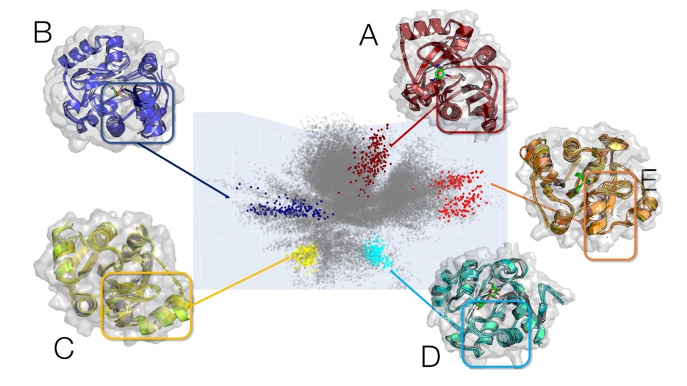 AI Fast-Tracks Drug Discovery to Fight COVID-19