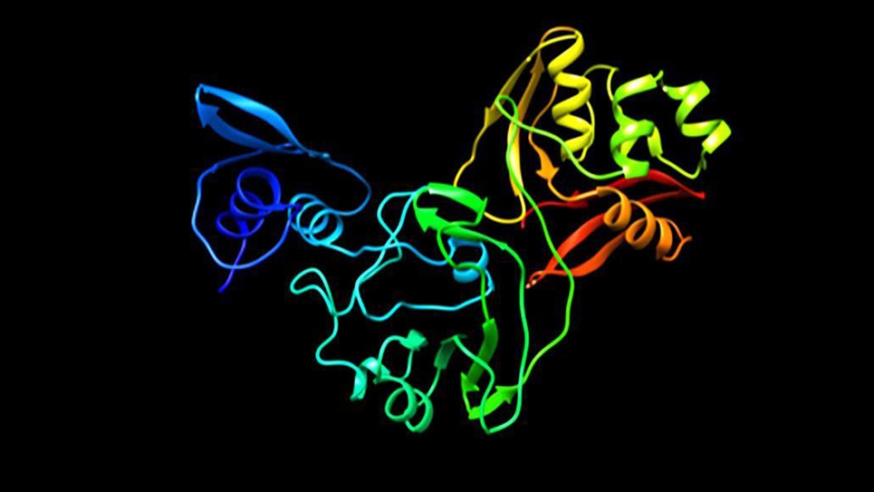 WTTW Chicago: COVID-19 Protein