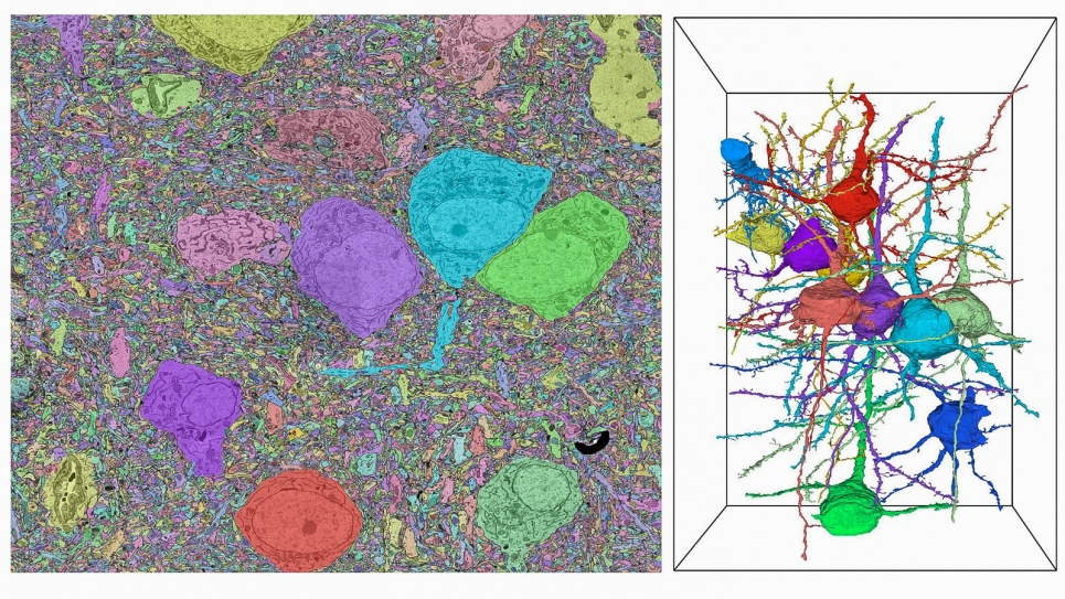 Data from electron microscopy