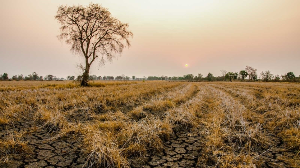 Drought Image