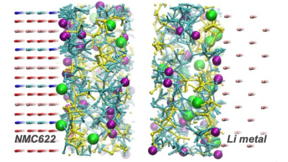 Jiang ALCC Image