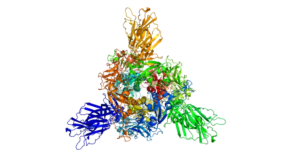 SARS-CoV-2 spike protein