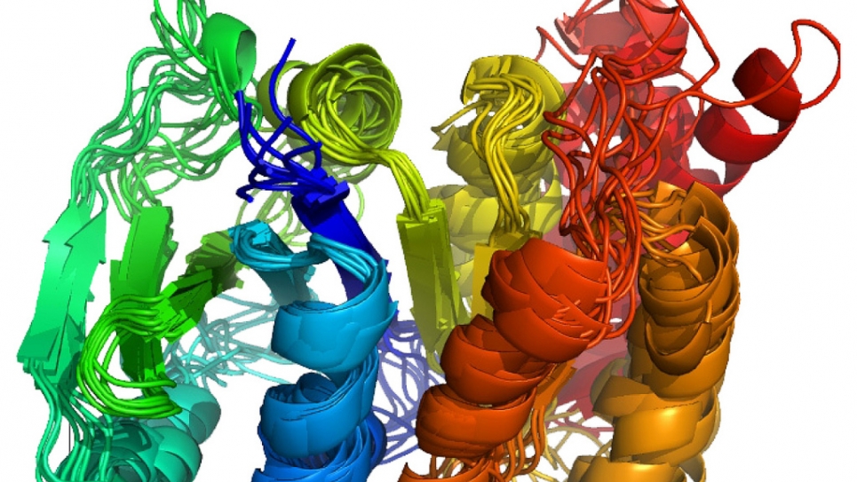 Large protein ALG13