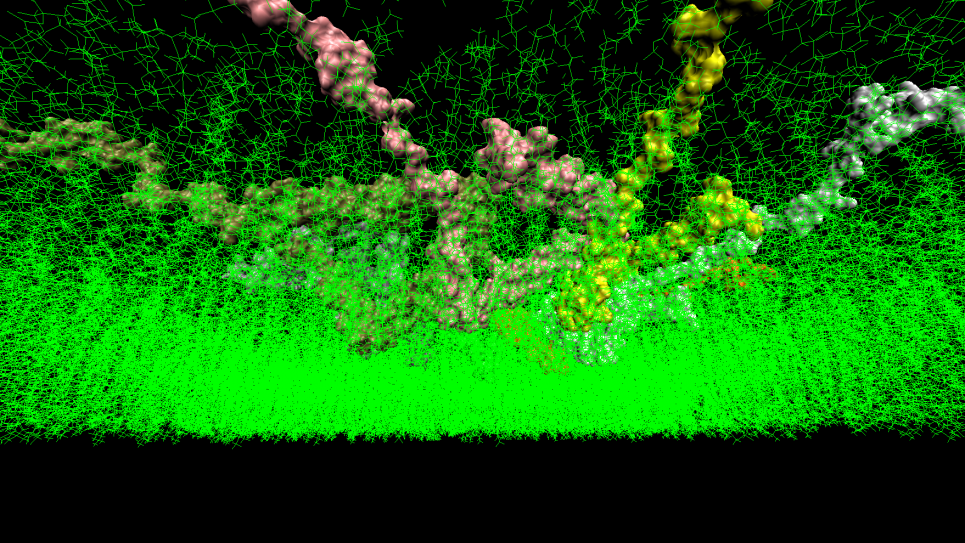 Igor Tsigelny, Simulations Bolster Parkinson’s theory