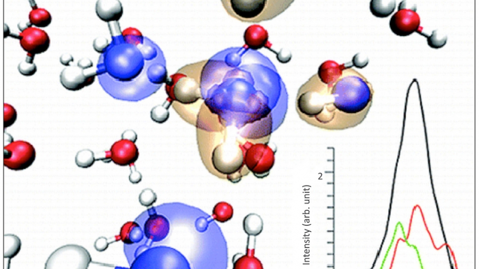 Vibrational spectroscopy of liquid mixtures and solid/liquid interfaces