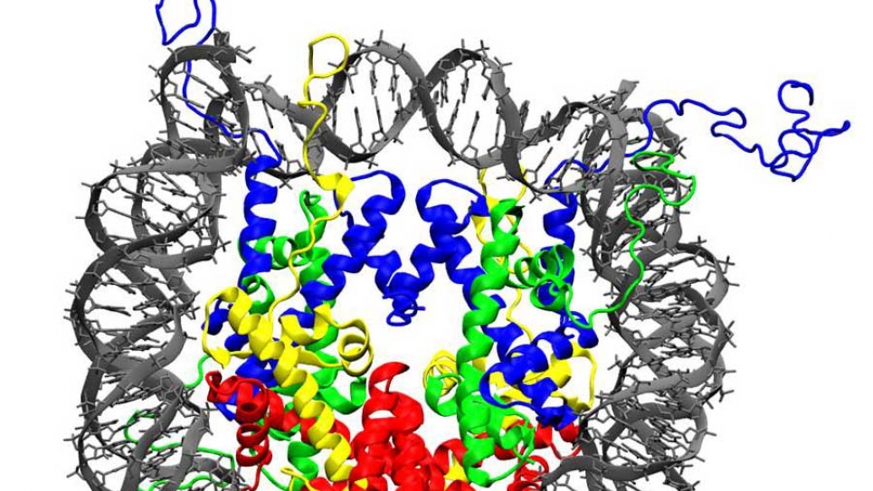 nucleosome 1KX5