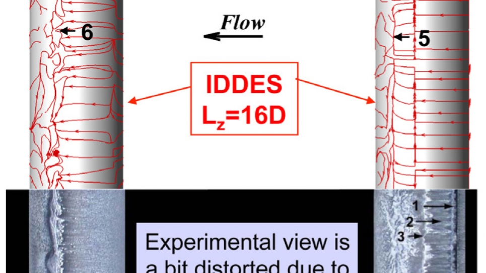 Detached Eddy Simulations for turbulent flows over tandem cylinders